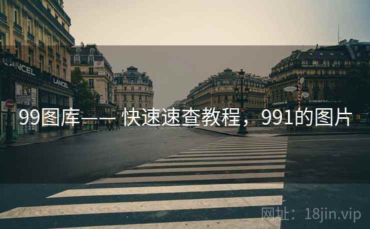 99图库—— 快速速查教程，991的图片